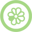 guacamole green icq 5 icon