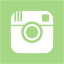 guacamole green instagram 2 icon