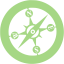 guacamole green safari icon