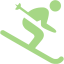 guacamole green skiing icon