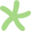 guacamole green star 24 icon