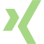 guacamole green xing icon