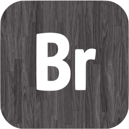 adobe br icon