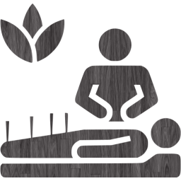 alternative medicine icon