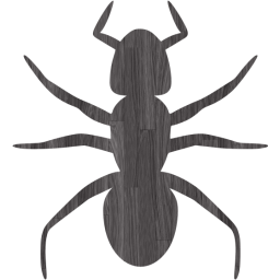 ant 3 icon