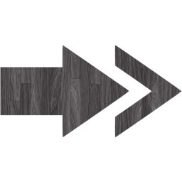 arrow 13 icon