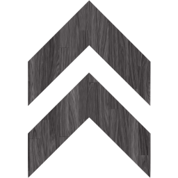 arrow 150 icon