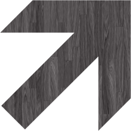 arrow 304 icon