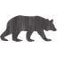 bear 5