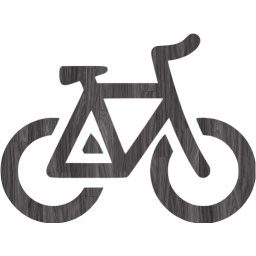 bicycle 2 icon