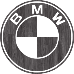 bmw icon