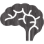 brain