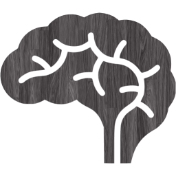 brain icon