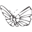 butterfly 2