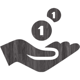 cash receiving icon