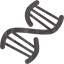 dna helix