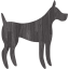 dog 31