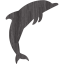 dolphin 2