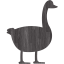 duck 2