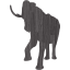 elephant 2