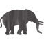 elephant 5