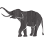 elephant 6