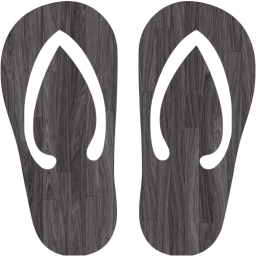 flip flop icon