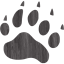 footprints bear