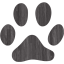footprints cat