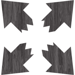 fullscreen 10 icon