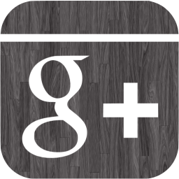 google plus 6 icon