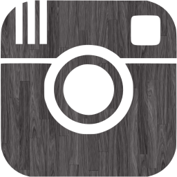 instagram icon