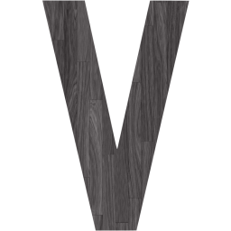 letter v icon