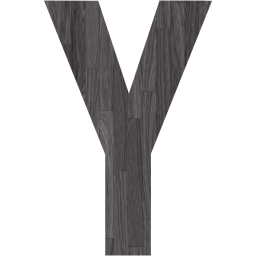 letter y icon