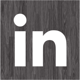 linkedin 2 icon