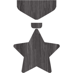 medal icon