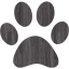 paw