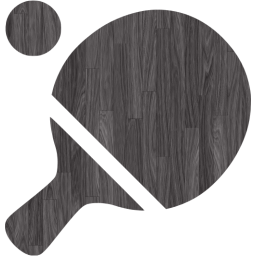 ping pong icon