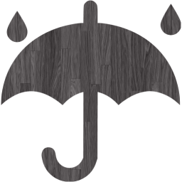 rainy weather icon