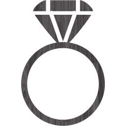 ring 2 icon