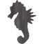 sea horse