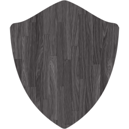 shield icon