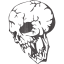 skull 16