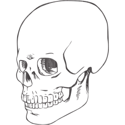 skull 38 icon