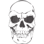 skull 41