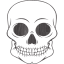 skull 55