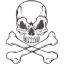 skull 72