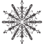 snowflake 10