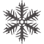 snowflake 16