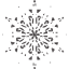 snowflake 24